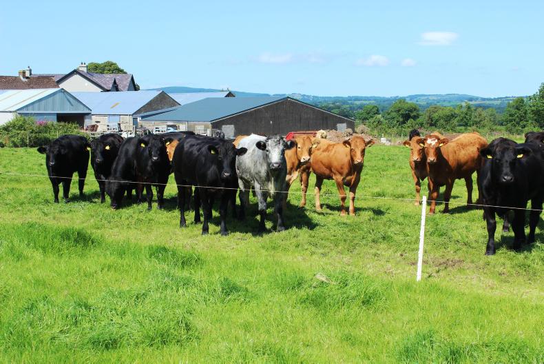 Watch: do your sums for winter fodder stocks