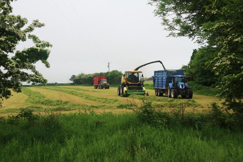 Big green rake cleaning up in Cork