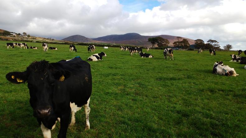 NI prices well down in EU milk league