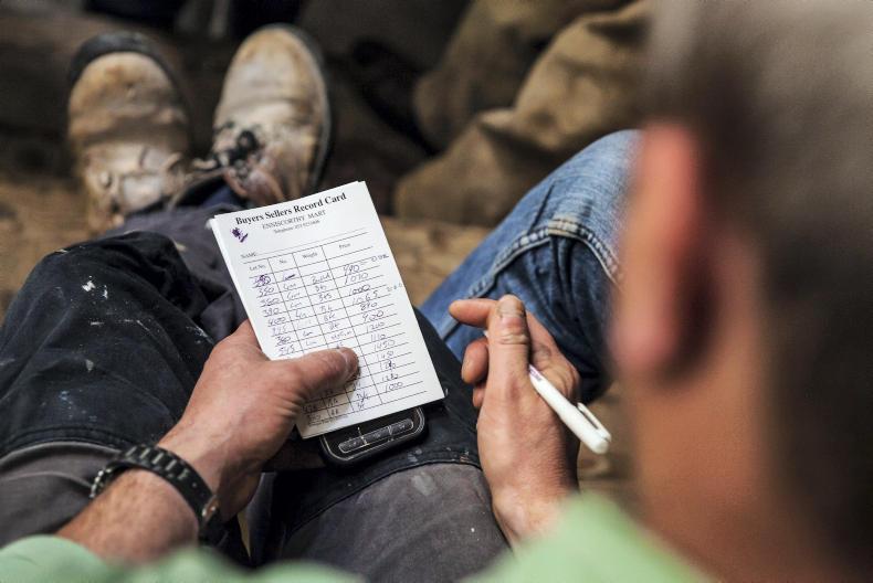 30% of BES participants enter calving data