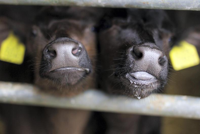 Increasing grazing rotations and monitoring for dosing key