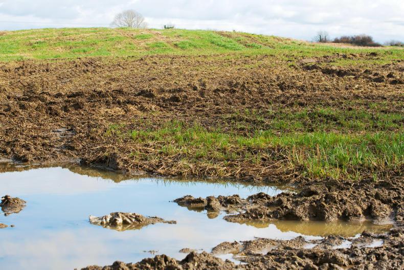 €1.5m crop loss scheme opens for tillage farmers