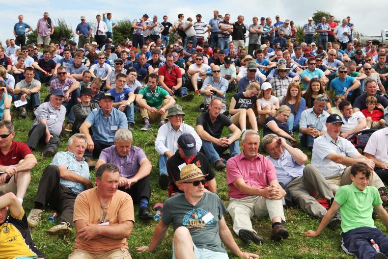 Dairy expansion through land leasing
