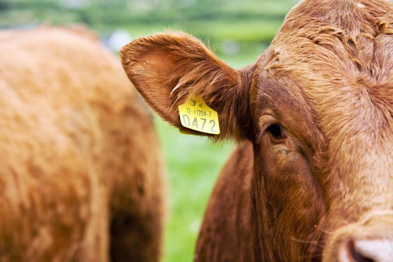 Exclusive: Farmers must pay tag levy