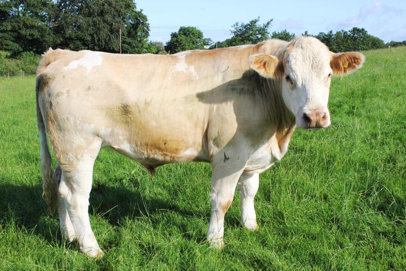 News in-brief from Northern Ireland