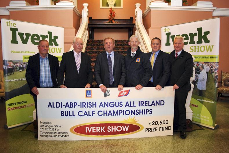 Angus classes land €6,000 sponsorship deal
