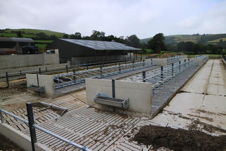 In pictures: going topless for Wicklow dairy cubicles