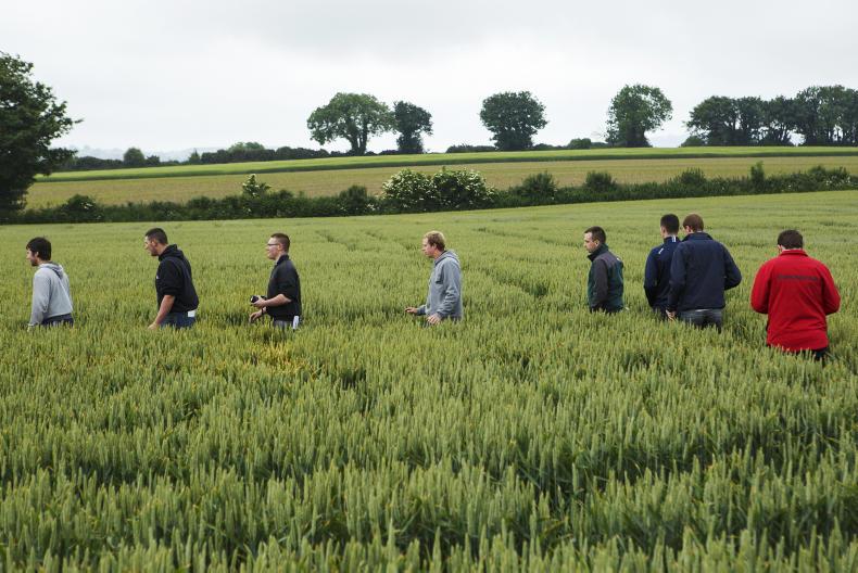 Almost 6,150 joint herd numbers set up since 2015 