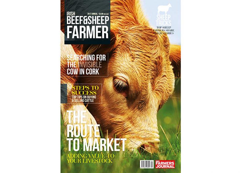 NEW Beef and Sheep Farmer magazine out now!