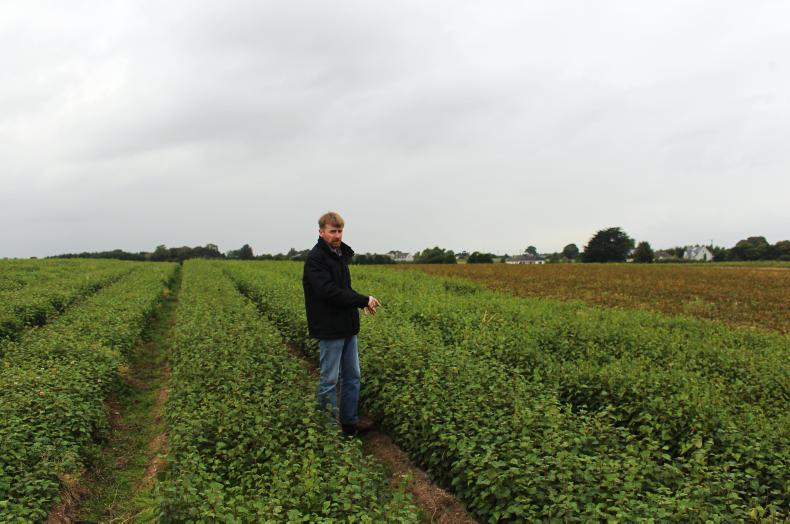 Views on performance of afforestation programme