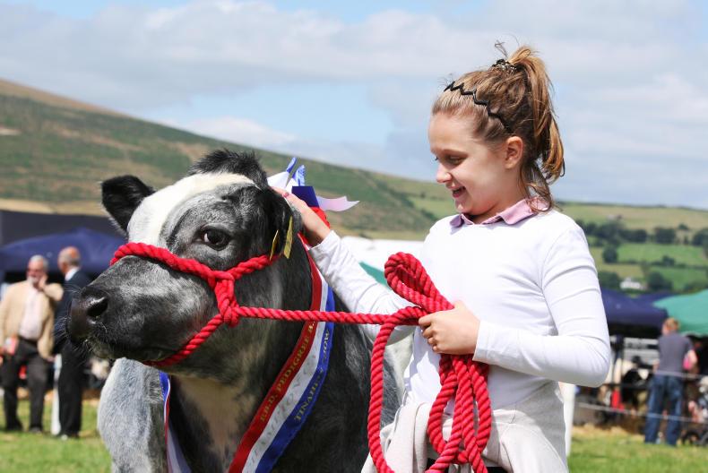 Over 60,000 expected to attend agricultural shows this Monday