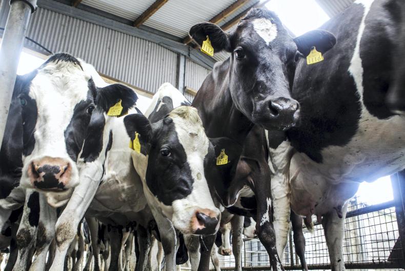 The full picture on milk pricing