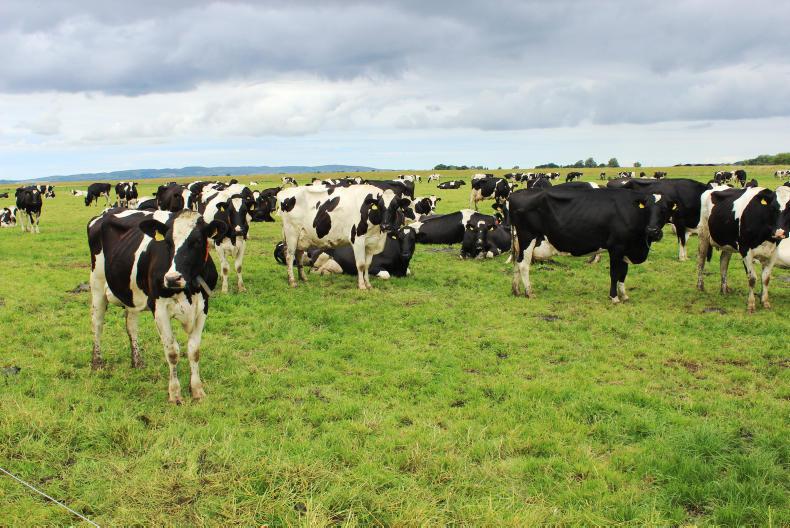 Dairy farmers paying down farm debt    