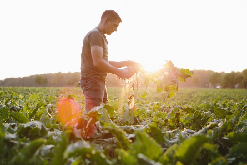 What's On from Thursday, 3rd August 2017