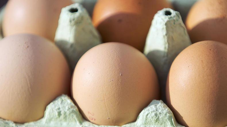 Millions of eggs recalled from European shelves due to banned pesticide