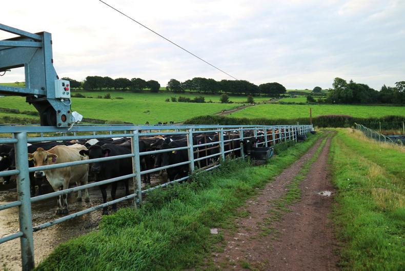 Silage is in but Johnes is still a problem 