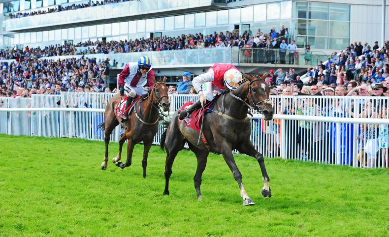 Walsh works wonders at Galway              