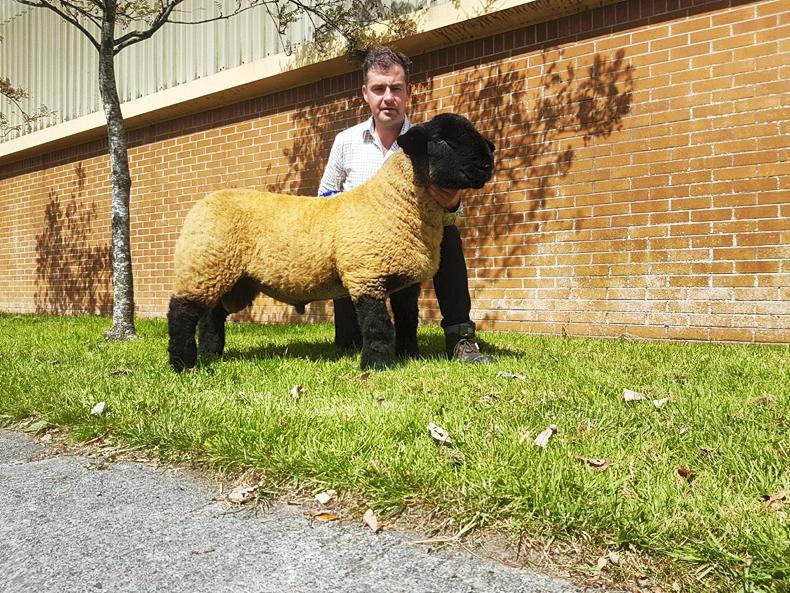 €11,000 top price for first-time exhibitor