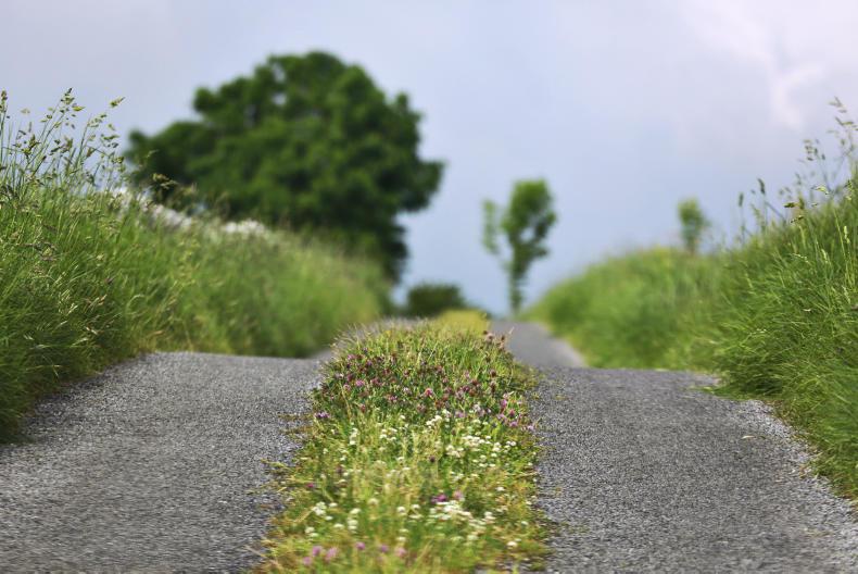 Fairies causing road dips in Kerry