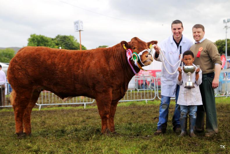 Commercial cattle lead the charge at Bonniconlon