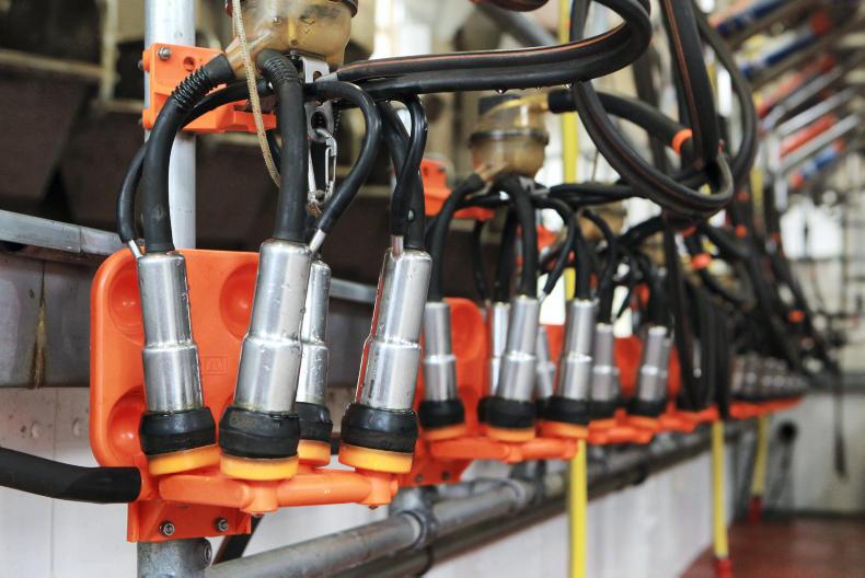 Dairy worker programme begins  