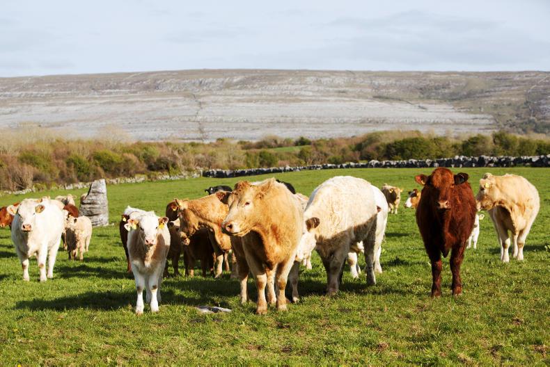 €24m available for new locally-led schemes