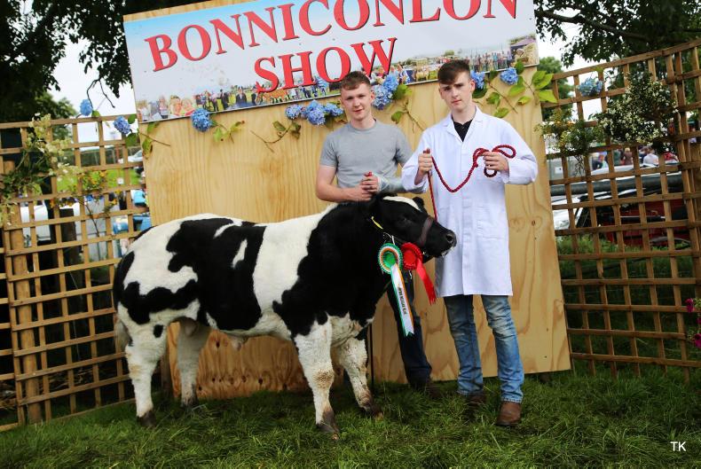 In pictures: pedigree results at Bonniconlon show 