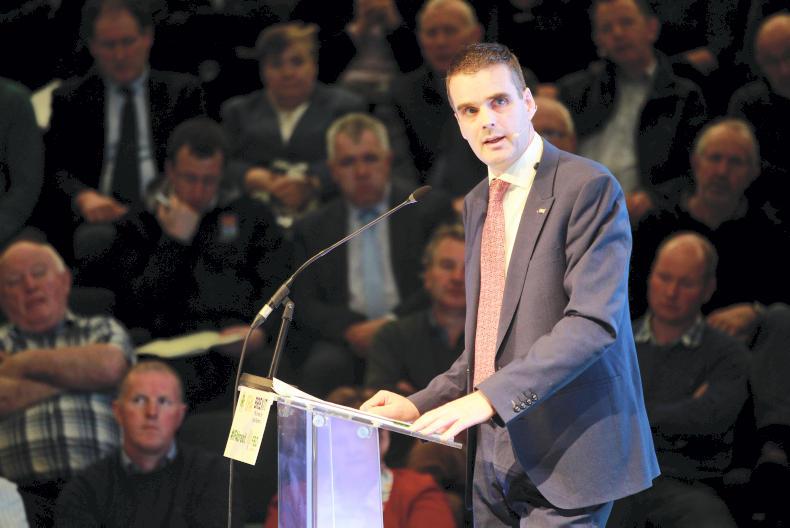 Joe Healy joins FBD Holdings board as non-executive director