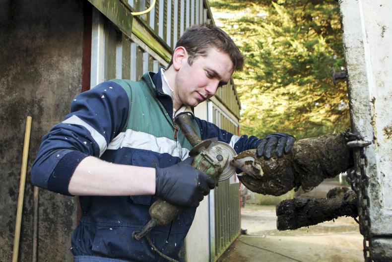 Easy steps to counteract lameness