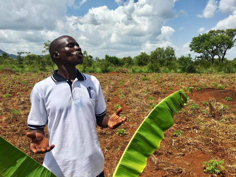 Watch: farmers connect with markets in Kenya and Uganda
