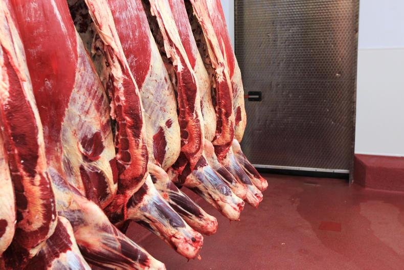 Major international meat congress for Ireland this week