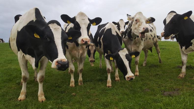 US milk production forecast reduced