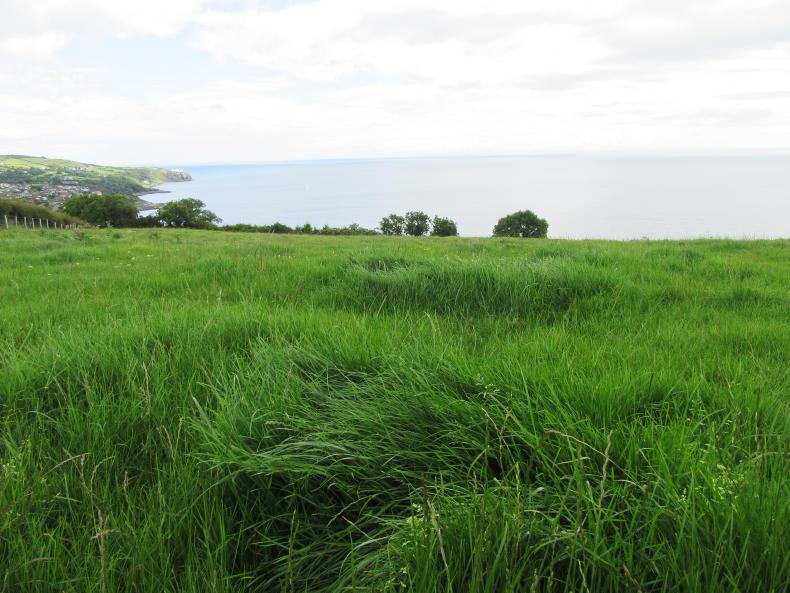 Weekly weather: unsettled conditions ahead