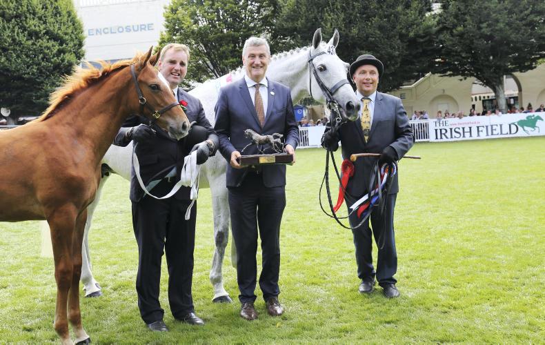 Roche’s Only Hope does it again                                     