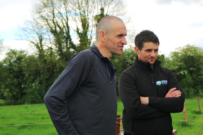 Watch: massive weight gain offests calving woes on Meath BETTER farm