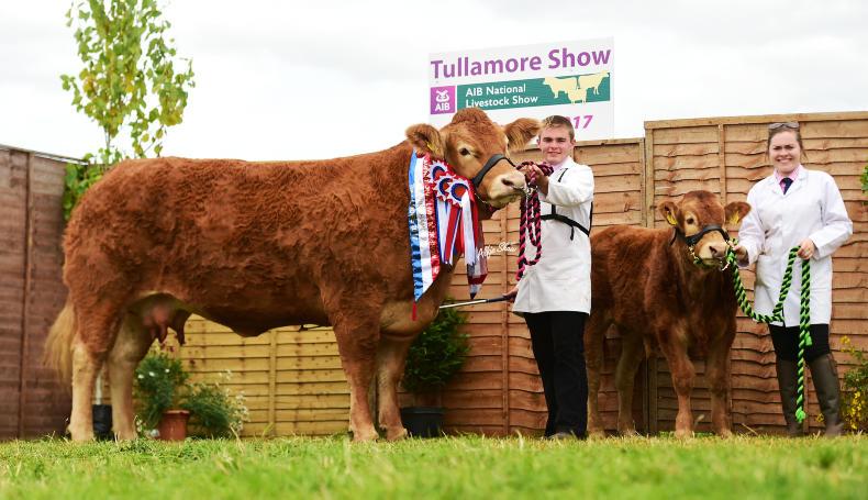 Honda continues form in the Limousin ring