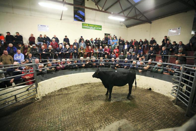 Clampdown in Carrigallen      