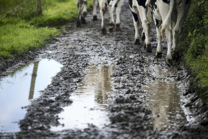 Weekend weather: heavy rainfall from Saturday night