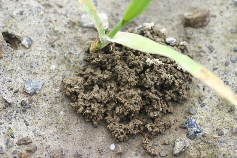 Amendments can improve soil yield and structure: AHDB