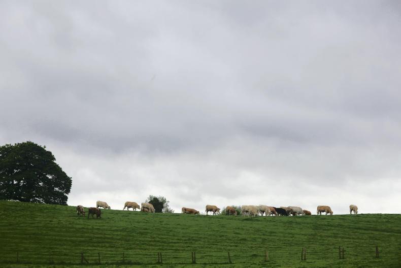 Over 2,000 KT farm improvement plans yet to be submitted