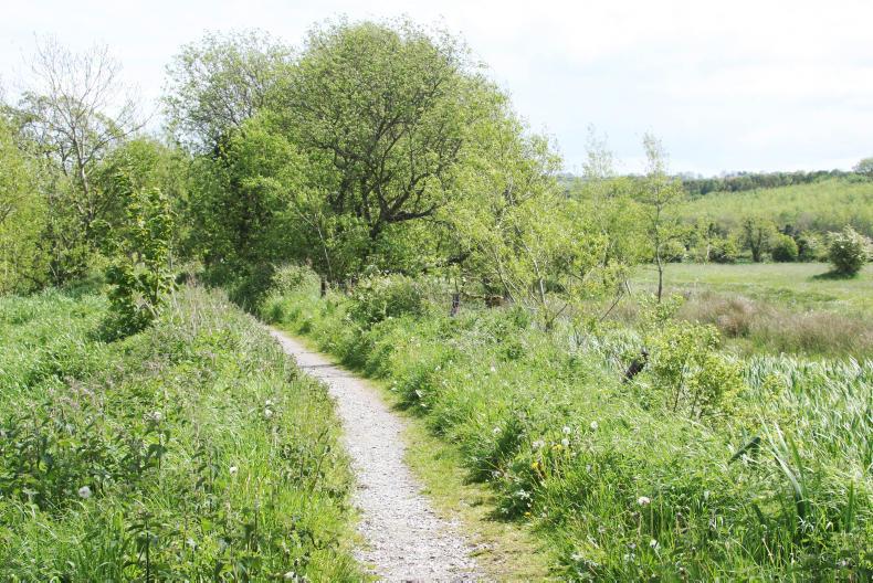 Farmer Writes: farming with nature in mind