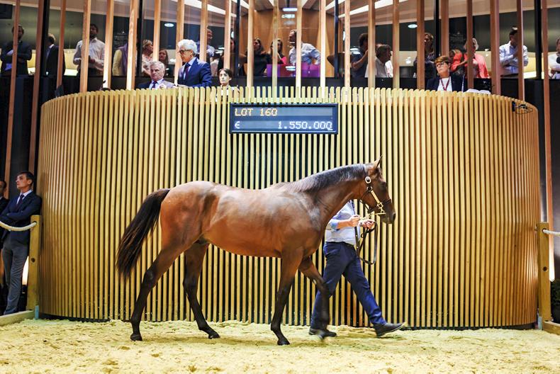Dubawi colt sells for €1.55m at Deauville