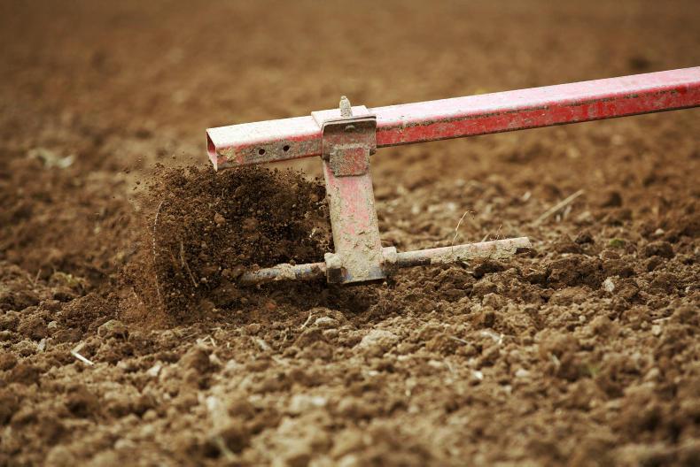 Land reclamation - one year on 