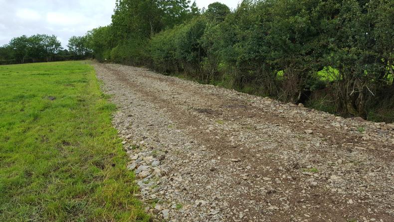 Watch: difficult grazing conditions and autumn planning on Dairylink farms