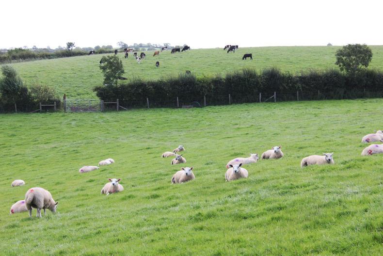 Farmer Writes: the future is farming with a contract