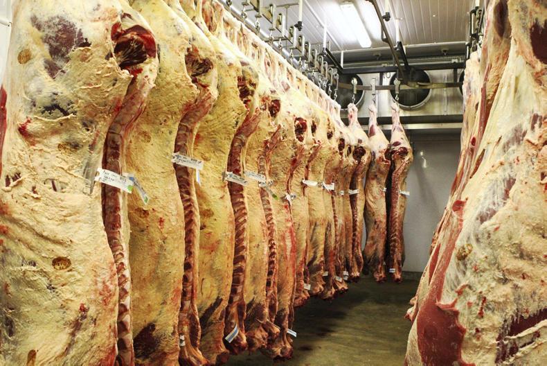 Surge in beef export sales outside EU 