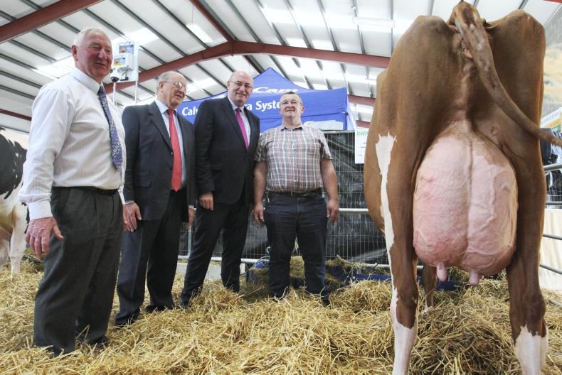 Preparations complete for 76th Virginia Show