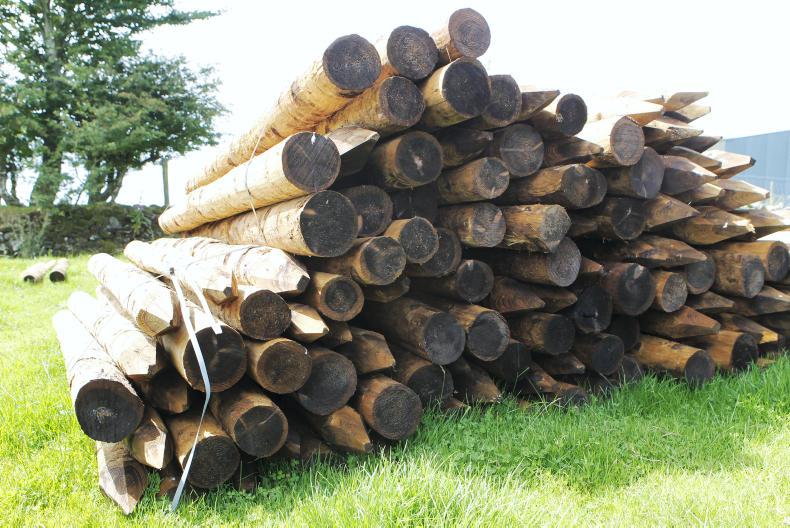 Three options dominate EFS agreements