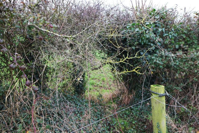 Greening boost for farmers