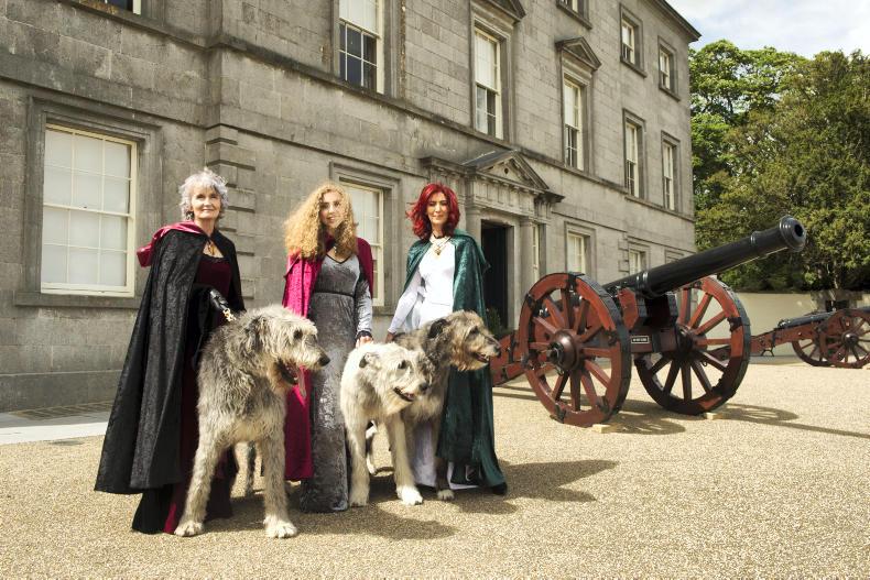 A dog’s day at Oldbridge Estate